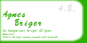 agnes briger business card